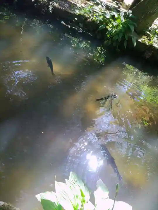 柳津虚空蔵尊 寳性院(宮城県)