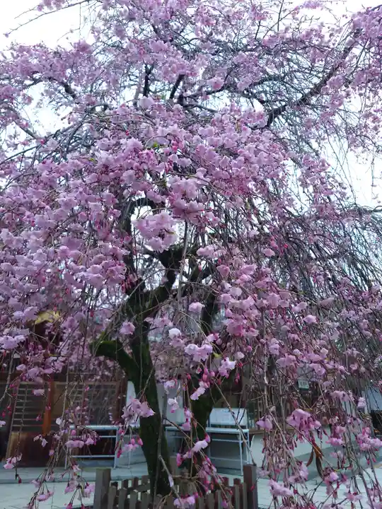 速谷神社(広島県)