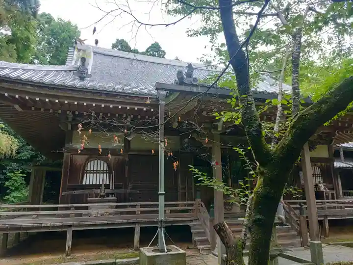 勝持寺(花の寺)の本殿・本堂