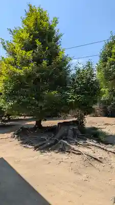 天皇神社(京都府)