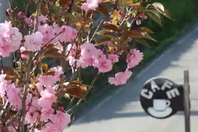 国宝 大法寺(長野県)