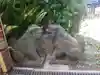 麻布氷川神社の狛犬