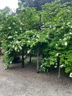 船宿寺(奈良県)