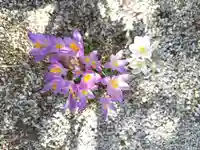 厚別神社(北海道)