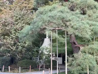 龍安寺(京都府)