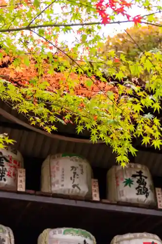 新海三社神社(長野県)