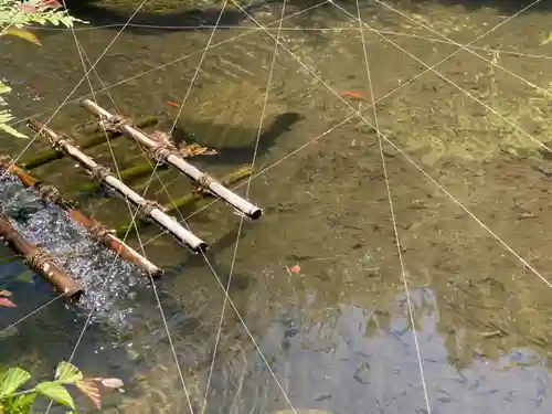 成就院(神奈川県)