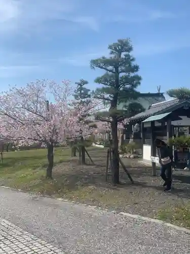 住吉神社(三重県)