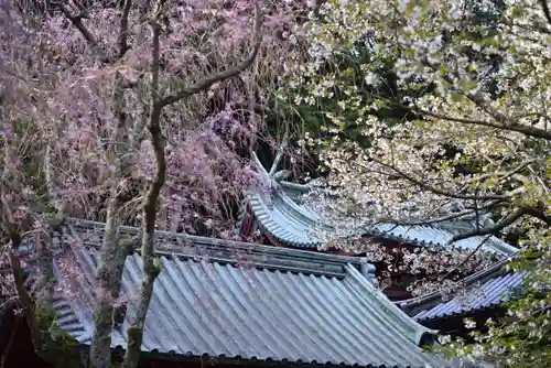 伊豆山神社(静岡県)