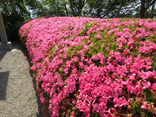 善峯寺(京都府)