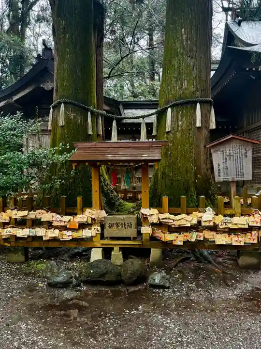 高千穂神社(宮崎県)