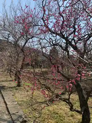 菅原神社の自然