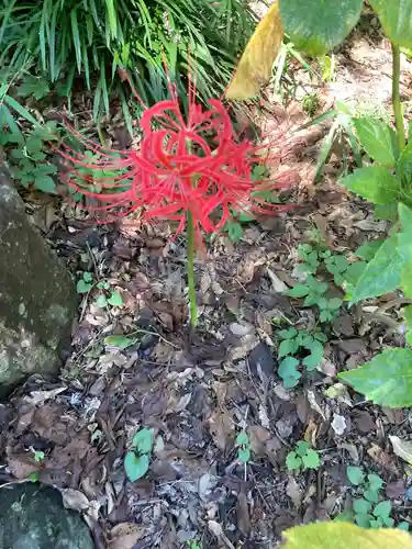 葛原岡神社の自然