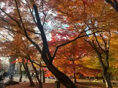 懐古神社の{uncategorized: "未分類", other: "その他", undefined: "問題あり", building: "その他建物", grave: "お墓", sacred_gate: "鳥居", guardian: "狛犬", statue: "像", buddha: "仏像", history: "歴史", nature: "自然", garden: "庭園", animal: "動物", pagoda: "塔", temizu: "手水舎", mountain_gate: "山門・神門", sanctuary: "本殿・本堂", subordinate: "末社・摂社", art: "芸術", scenery: "景色", jizo: "地蔵", ema: "絵馬", goshuin: "御朱印", omikuji: "おみくじ", items: "授与品その他", amulet: "お守り", goshuincho: "御朱印帳", eats: "食事", festival: "お祭り", votive_dance: "神楽", shichigosan: "七五三参", wedding: "結婚式", experience: "体験その他", initially: "初詣", around: "周辺", anti_infection: "感染症対策"}