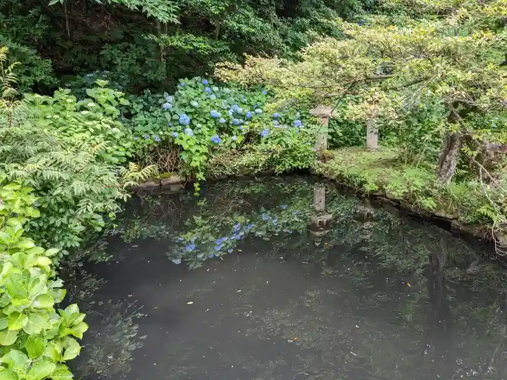 月照寺(島根県)