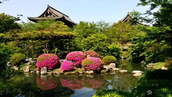 東寺(教王護国寺)の庭園