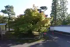 杉本神社（正倉院境内社）(奈良県)