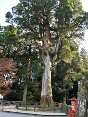 霧島神宮(鹿児島県)