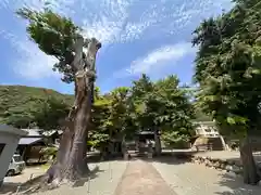 天満神社(福井県)