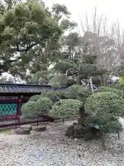 上野東照宮の自然