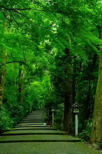 白山比咩神社(石川県)