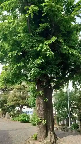 常祗稲荷神社(群馬県)