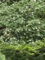 国上寺(新潟県)