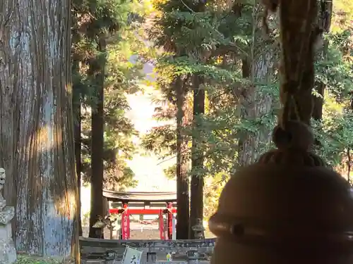 大宮温泉神社(栃木県)