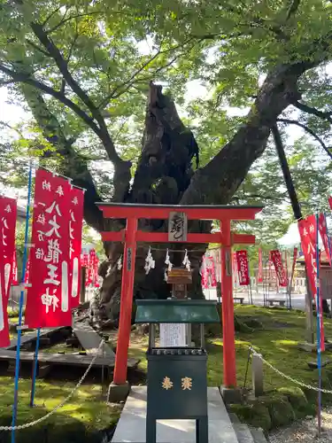 秩父今宮神社の自然