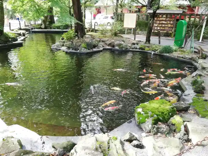 伊豆山神社の庭園