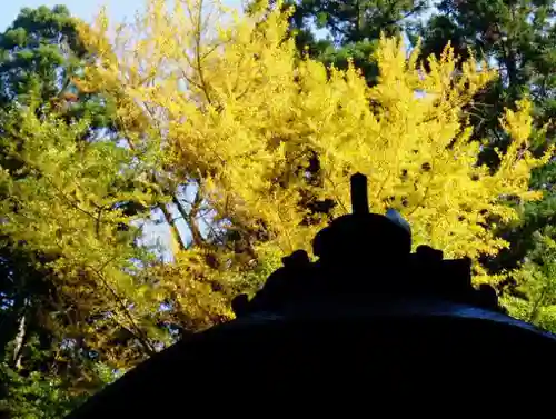 三佛寺の建物その他