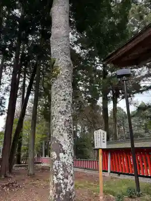 日吉大社(滋賀県)