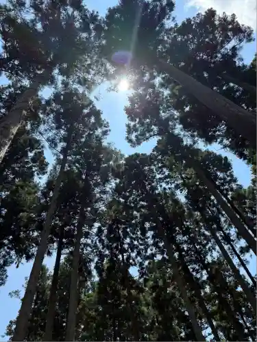 市杵島神社（高萩八幡宮境内社）(茨城県)