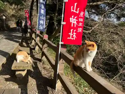 唐澤山神社(栃木県)