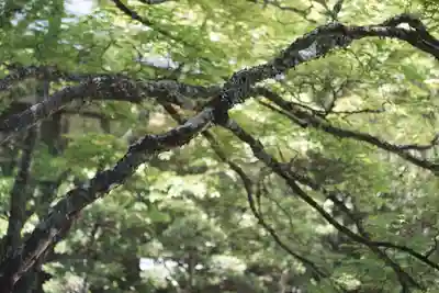 高野山金剛峯寺(和歌山県)