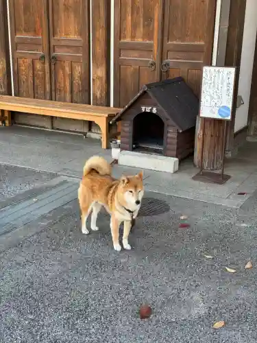 感通寺(東京都)
