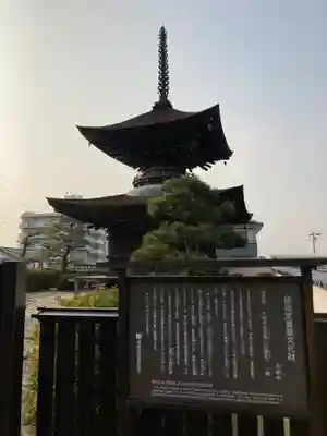 大樹寺(松安院大樹寺)の塔