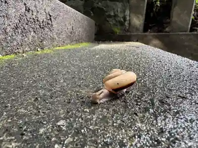 狭野神社(宮崎県)