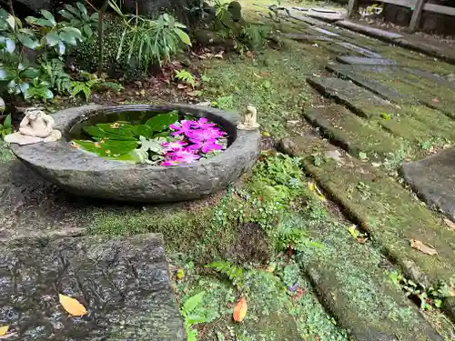 かっぱの寺 栖足寺(静岡県)