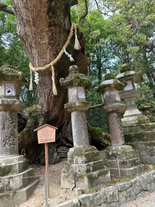 春日大社(奈良県)