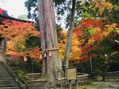 西明寺(滋賀県)