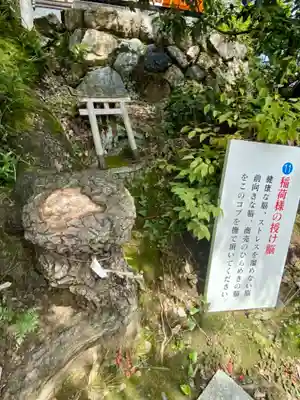 折上稲荷神社のその他建物