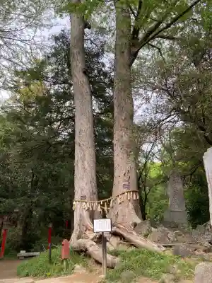 妻沼聖天山歓喜院(埼玉県)