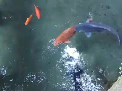 鹿島神宮(茨城県)