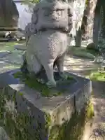 新川神社の狛犬