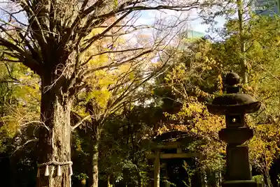 赤坂氷川神社のその他建物