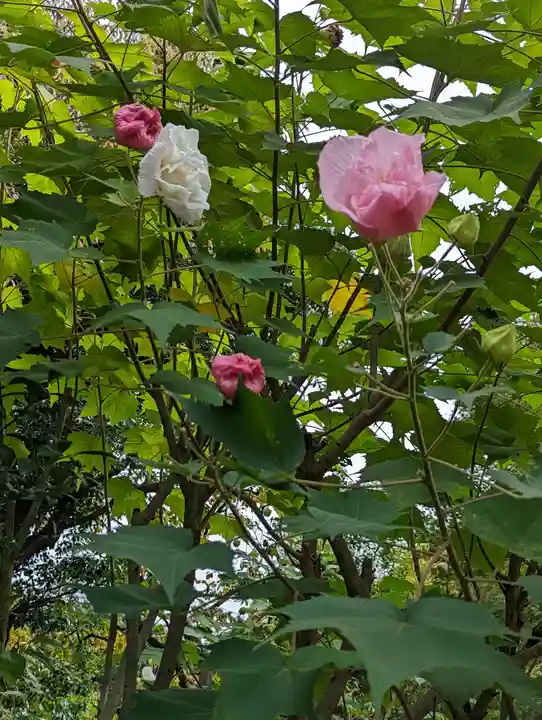 詩仙堂(丈山寺)(京都府)