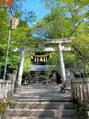 天鷹神社の鳥居