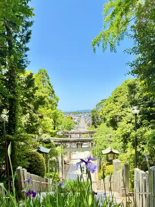 宮地嶽神社の{uncategorized: "未分類", other: "その他", undefined: "問題あり", building: "その他建物", grave: "お墓", sacred_gate: "鳥居", guardian: "狛犬", statue: "像", buddha: "仏像", history: "歴史", nature: "自然", garden: "庭園", animal: "動物", pagoda: "塔", temizu: "手水舎", mountain_gate: "山門・神門", sanctuary: "本殿・本堂", subordinate: "末社・摂社", art: "芸術", scenery: "景色", jizo: "地蔵", ema: "絵馬", goshuin: "御朱印", omikuji: "おみくじ", items: "授与品その他", amulet: "お守り", goshuincho: "御朱印帳", eats: "食事", festival: "お祭り", votive_dance: "神楽", shichigosan: "七五三参", wedding: "結婚式", experience: "体験その他", initially: "初詣", around: "周辺", anti_infection: "感染症対策"}