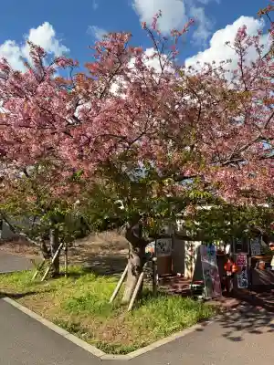 かっぱの寺 栖足寺(静岡県)